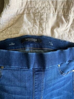 Liverpool Women's The Skinny Jeans - Blue